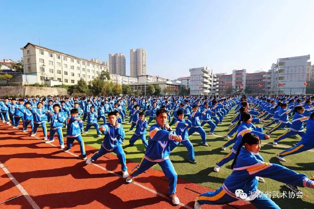 新化武术进校园工作成效显著